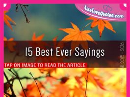 15 Best Ever Sayings, likelovequotes.com ,Like Love Quotes