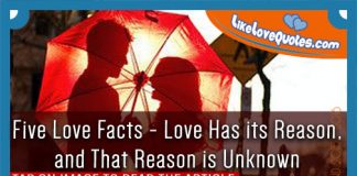Five Love Facts - Love Has its Reason, and That Reason is Unknown, likelovequotes.com ,Like Love Quotes