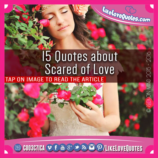 15 Quotes about Scared of Love