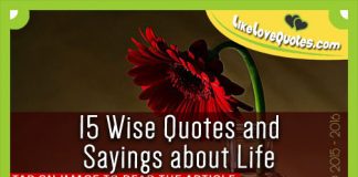 15 Wise Quotes and Sayings about Life, likelovequotes.com ,Like Love Quotes