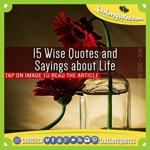 15 Wise Quotes and Sayings about Life