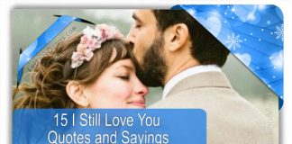 15 I Still Love You Quotes and Sayings, likelovequotes.com ,Like Love Quotes