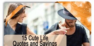 15 Cute Life Quotes and Sayings, likelovequotes.com ,Like Love Quotes