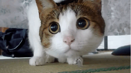 He She walks up to you