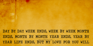 Day by day week ends, Week by week month ends, Month by month year ends, Year by year life ends, but my love for you will never end., likelovequotes.com ,Like Love Quotes
