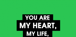 You are my HEART, my LIFE, my entire EXISTENCE, likelovequotes.com ,Like Love Quotes