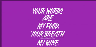 You Are Everything To Me-likelovequotes, likelovequotes.com ,Like Love Quotes