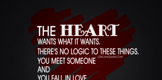 You Meet Someone And You Fall In Love And That's That-likelovequotes, likelovequotes.com ,Like Love Quotes