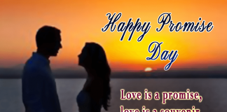 Love Is A Souvenir , Once Given Never Forgotten-likelovequotes, likelovequotes.com ,Like Love Quotes