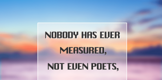 Nobody Has Ever Measured The Depth Of Love-likelovequotes, likelovequotes.com ,Like Love Quotes