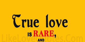 True Love Gives Meaning To Life-likelovequotes, likelovequotes.com ,Like Love Quotes