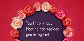 nothing can replace you in my life happy rose day-likelovequotes, likelovequotes.com ,Like Love Quotes