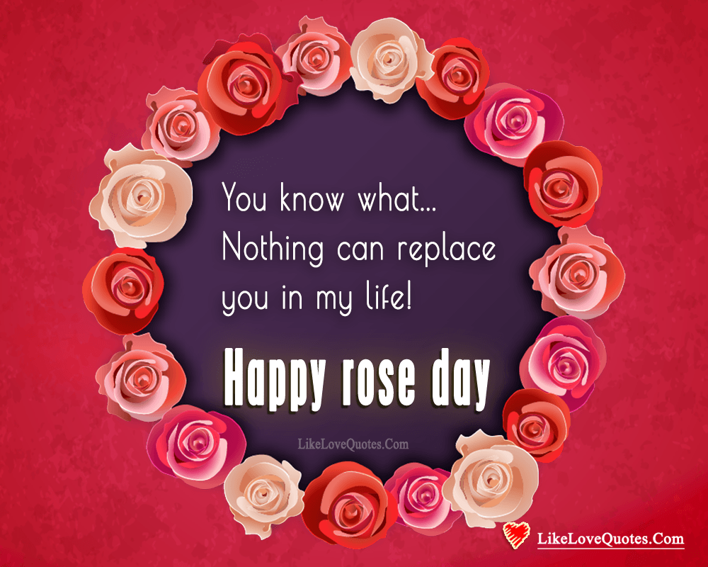 nothing can replace you in my life happy rose day-likelovequotes