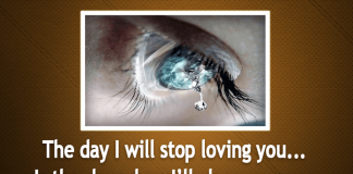 Will Never Stop loving You-likelovequotes, likelovequotes.com ,Like Love Quotes