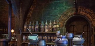 Love Potions to Make your Man Fall in Love with You