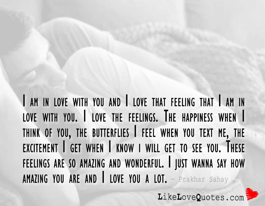 I am in love with you and I love that feeling that I am in love with you.
