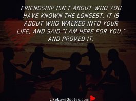 Friendship isn't about who you have known the longest. It is about who walked into your life, and said "I am here for you." and proved it.