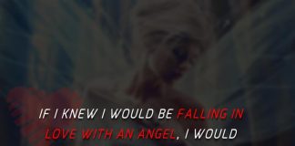 If I knew I would be falling in love with an angel, I would have searched for you harder and found you sooner.