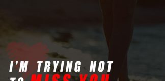I'm trying not to miss you.