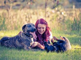 Learn To Love Like Your Pet
