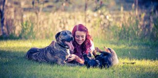 Learn To Love Like Your Pet