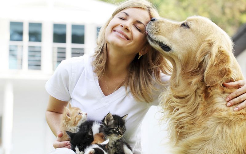Learn To Love Like Your Pet