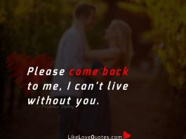 Please come back to me, I can't live without you.