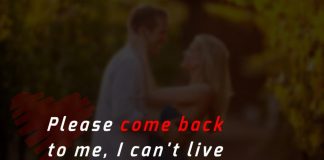 Please come back to me, I can't live without you.