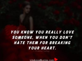 You know you really love someone, when you don’t hate them for breaking your heart.