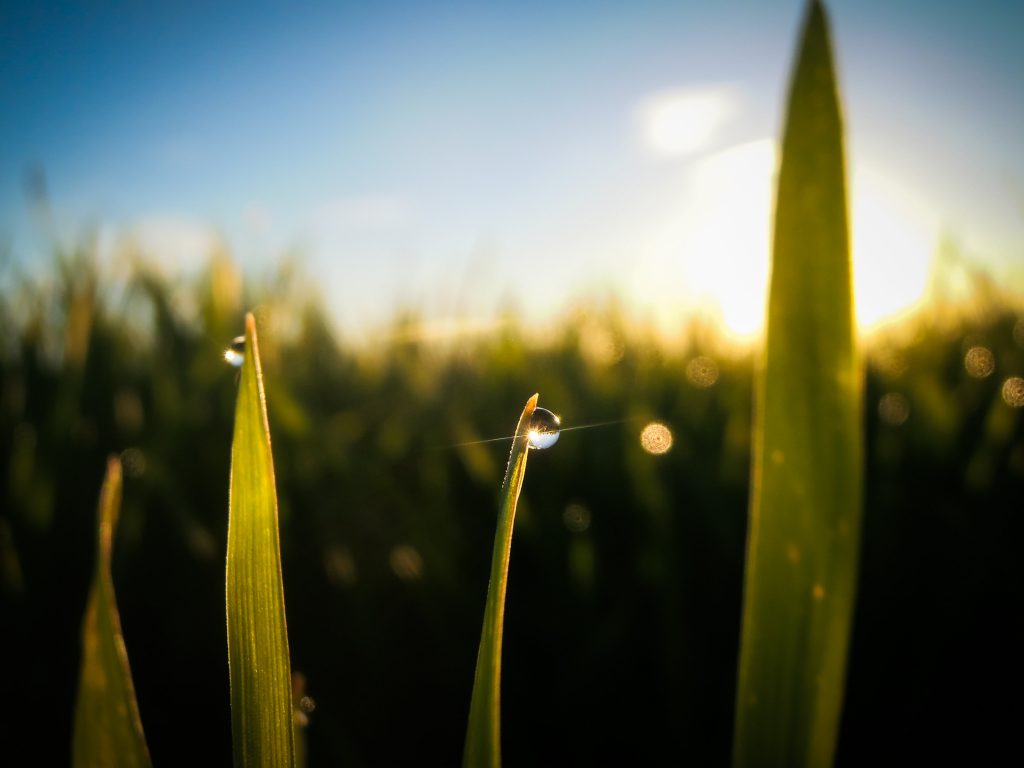 20 Good Morning Quotes To Motivate Him