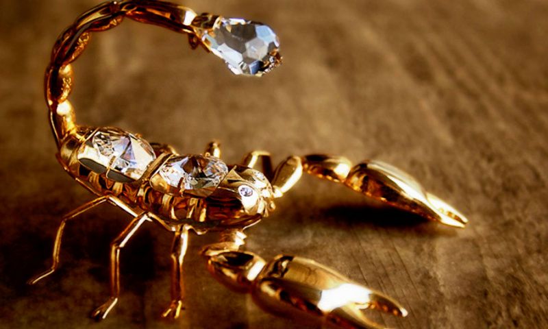 The Boss Is Always Right- Mr. Scorpio