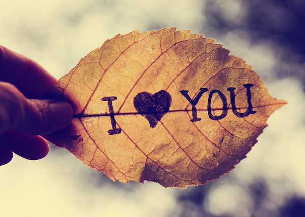 A Relationship is Not Only About "I Love You"