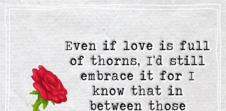 Even If Love Is Full Of Thorns, I'd Still-likelovequotes