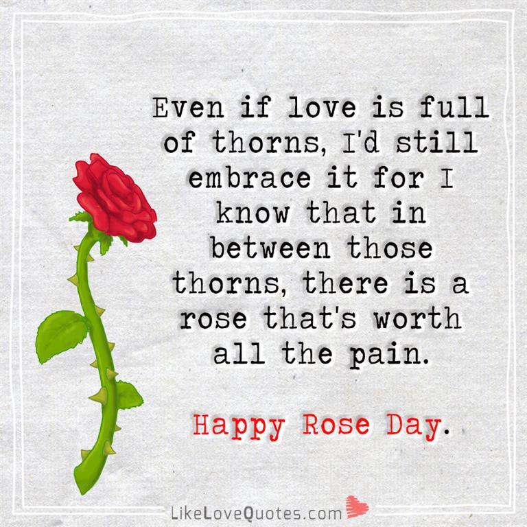 Even If Love Is Full Of Thorns, I'd Still-likelovequotes