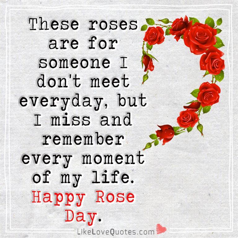 These Roses Are For Someone I Don't Meet Everyday -likelovequotes