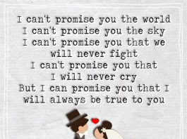 I Can't Promise You The World -likelovequotes