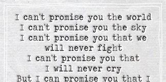 I Can't Promise You The World -likelovequotes