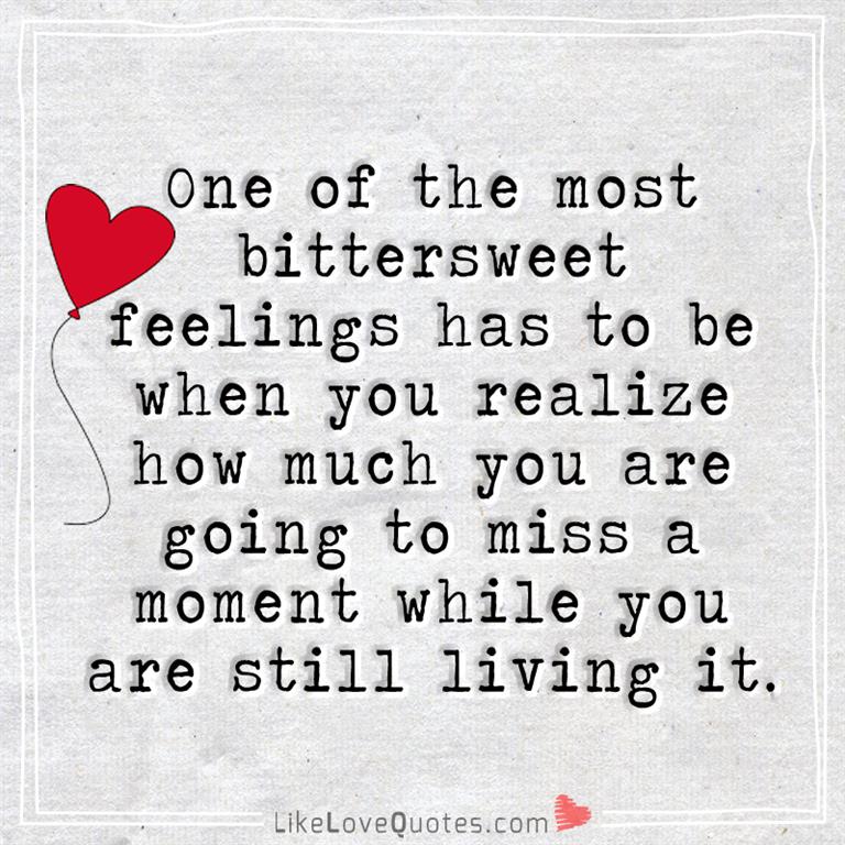 One of the most bittersweet feelings has to be when you realize how much you are going to miss a moment while you are still living it -likelovequotes