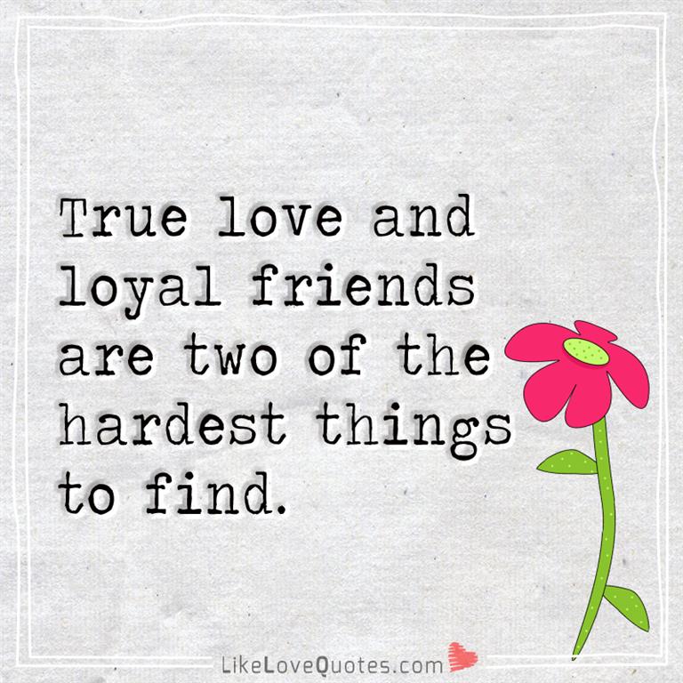 True love and loyal friends are two of the hardest things to find -likelovequotes