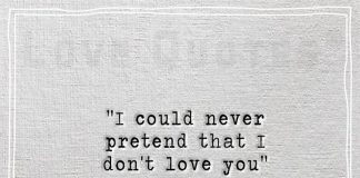 I could never pretend that I don't love you-likelovequotes