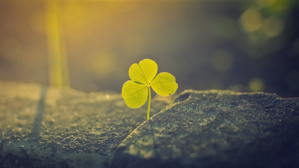 How to Feel Better About Life 3 Small Steps to Feel Great Again-likelovequotes