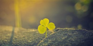 How to Feel Better About Life 3 Small Steps to Feel Great Again-likelovequotes