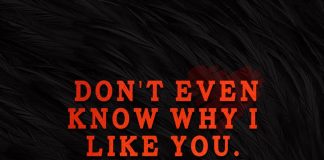 Don't Even Know Why I Like You-likelovequotes