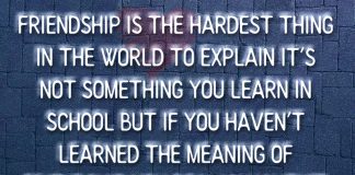 Hardest Thing In The World To Explain-likelovequotes