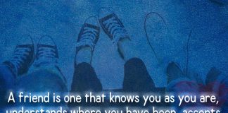 Still, Gently Allows You To Grow-likelovequotes