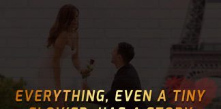 Tiny Flower, Has A Story Worth Telling -likelovequotes