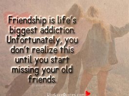 Friendship Is Life’s Biggest Addiction -likelovequotes