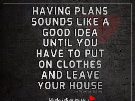 Having Plans Sounds Like A Good Idea -likelovequotes
