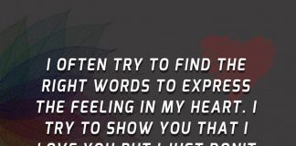 Right Words To Express The Feeling-likelovequotes