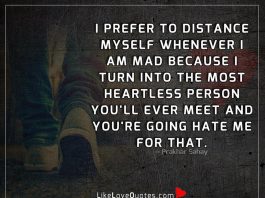 The Most Heartless Person You'll Ever Meet-likelovequotes